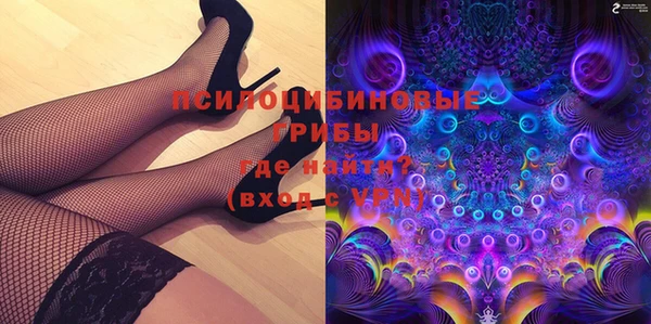 PSILOCYBIN Армянск
