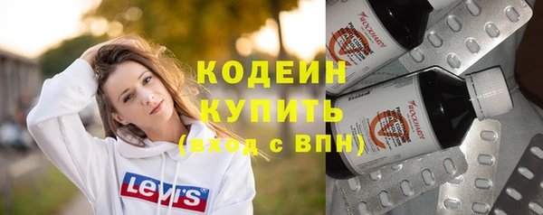 хмурый Арсеньев