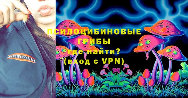 хмурый Арсеньев