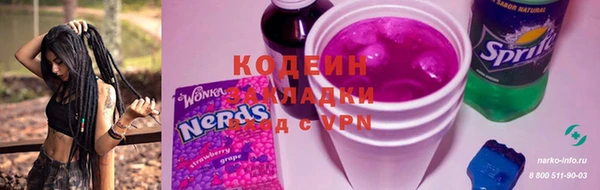 хмурый Арсеньев