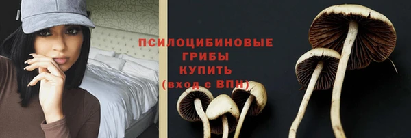 MESCALINE Аркадак