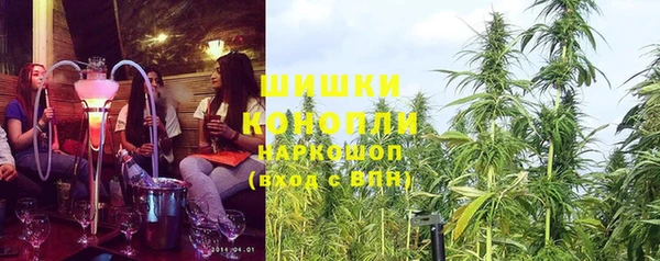 PSILOCYBIN Армянск
