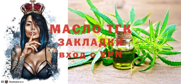 хмурый Арсеньев